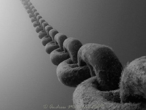 The anchor chain, barrier reef australia by Andrew Macleod 